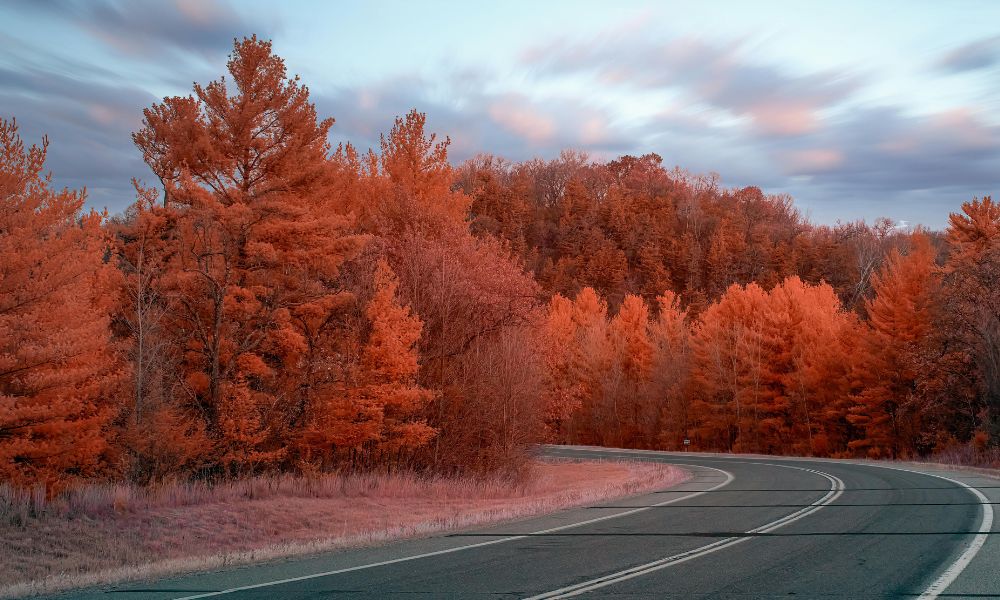 Blog post: Hvorfor kontinuitet slår intensitet i arbejdet med trivsel